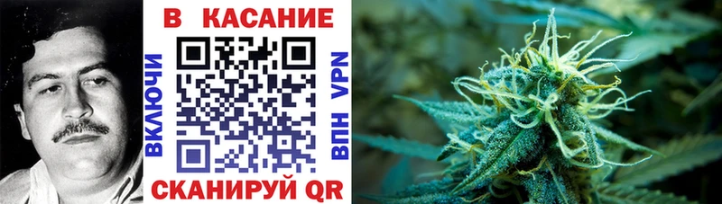 Где продают наркотики Шенкурск MEGA ТОР  Бошки Шишки  Cocaine  АМФ  Галлюциногенные грибы 