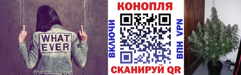 hydra вход  Шенкурск  сайты даркнета Telegram  Бошки марихуана LSD WEED 